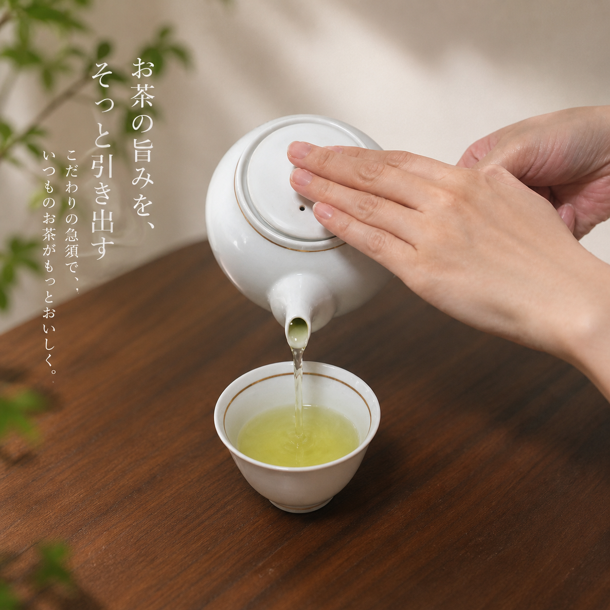 有田焼 白マット 茶器セット｜横手急須＋湯呑2客＋茶葉付｜桐箱入り｜ギフト対応